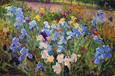 The Iris Bed by Timothy Easton